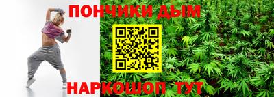 индика Тулун