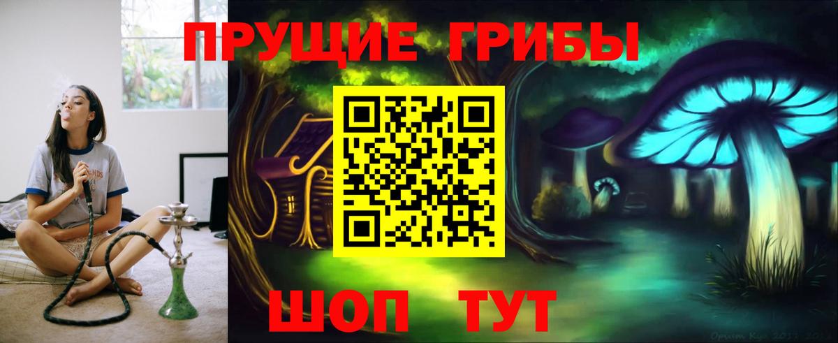 Псилоцибиновые грибы прущие грибы  Вход с VPN  Дмитров  Галлюциногенные грибы Cubensis 